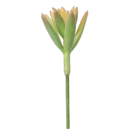 16 Packs: 7 ct. (112 total) Mixed Succulent Picks by Ashland®